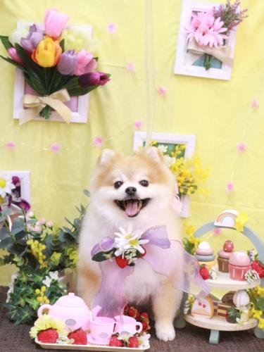 20230325モコくん